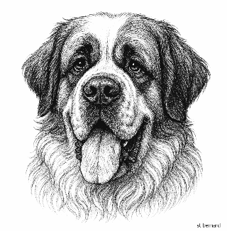 Dog Dad White Coffee Mug