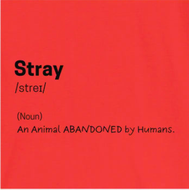 Stray Define Quote Black T-shirt For Pet Lover